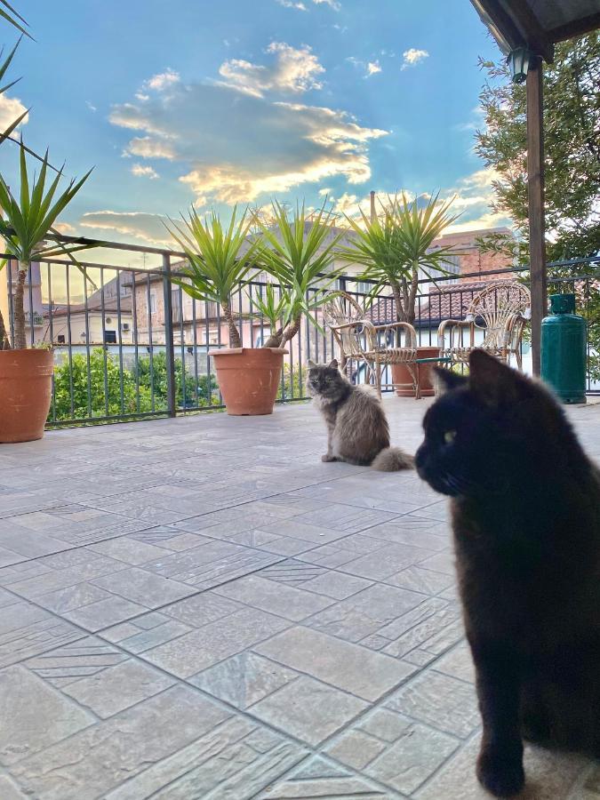 La Terrazza Vila Sapri Exterior foto
